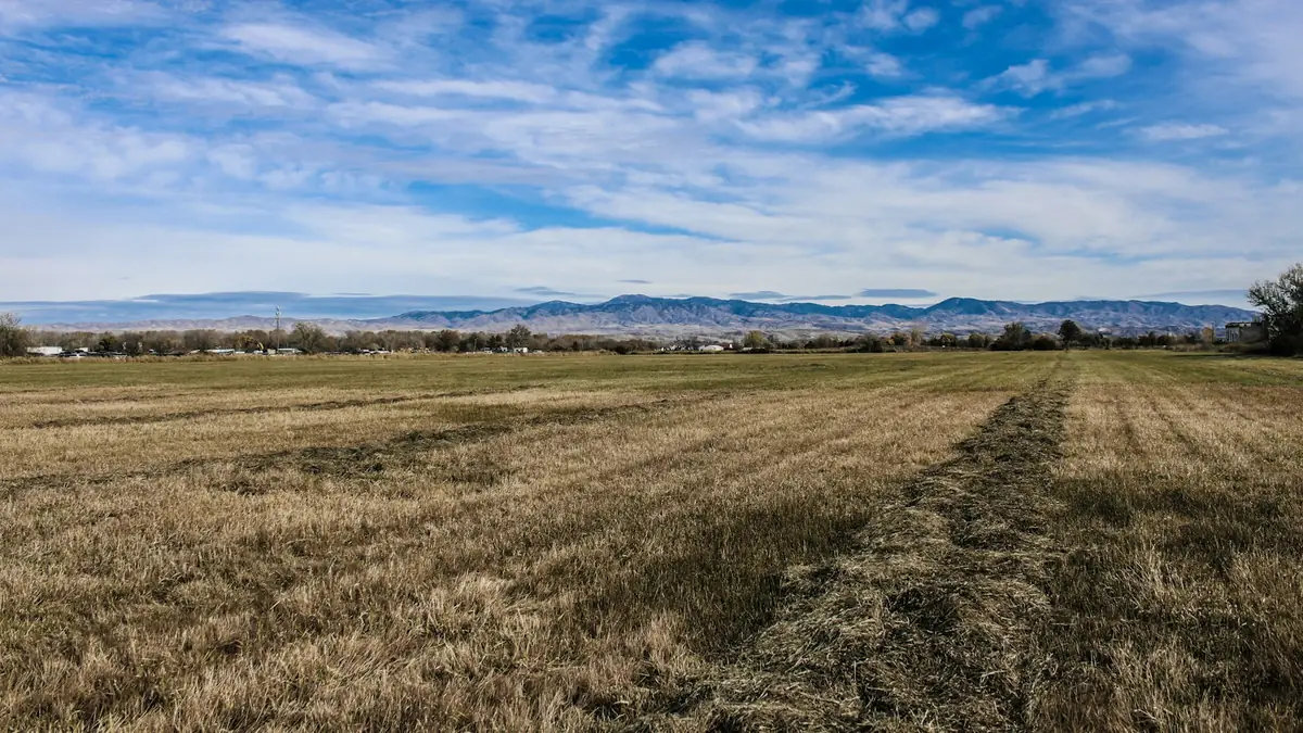 Flat stubble fields under a wide sky with low mountains on the horizon - Leak Detection in Caldwell